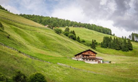 Climate Change and the Growing Environmental Challenges